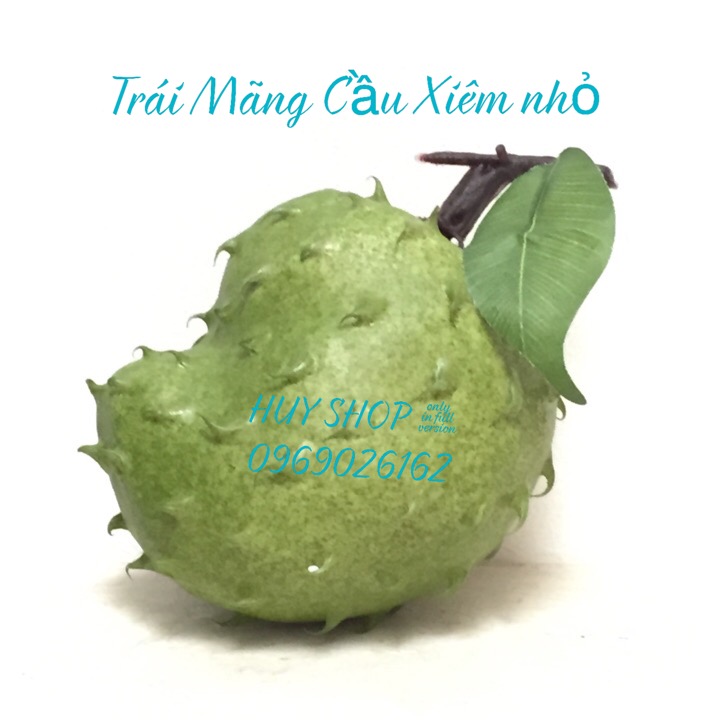 1 Trái MÃNG CẦU XIÊM (nhỏ) nhân tạo trang trí - Trái Cây giả