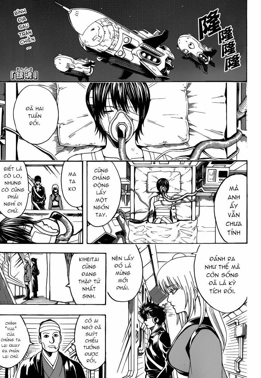 gintama - linh hồn bạc chapter 524 2