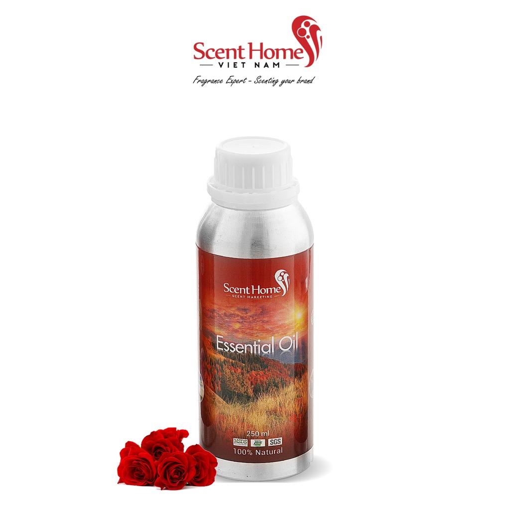 Tinh dầu Scent Homes - mùi hương (ROSE - Hoa Hồng)