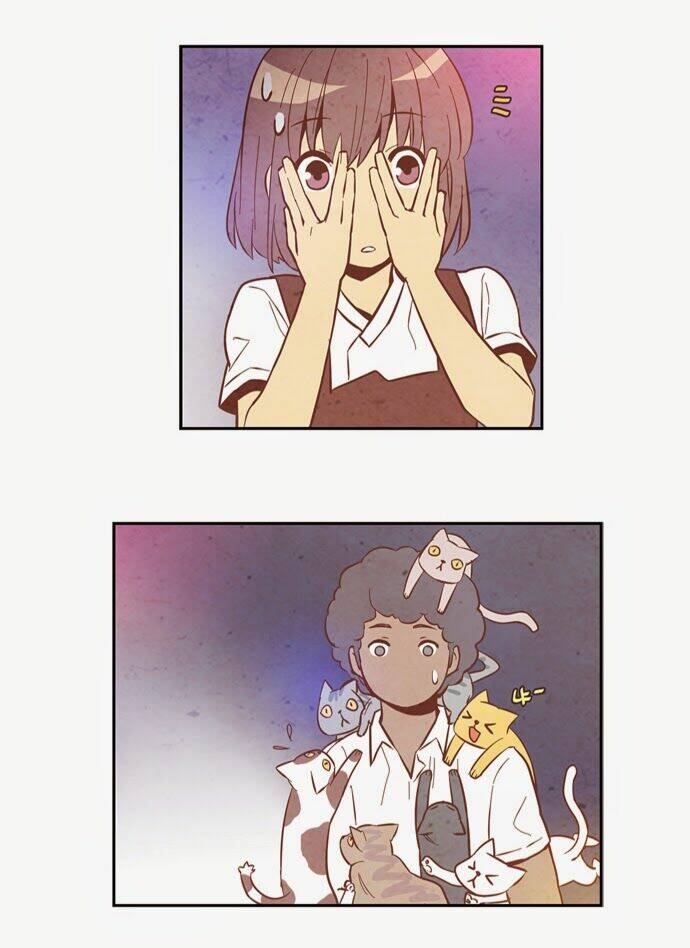 evergreen tea chapter 8 38