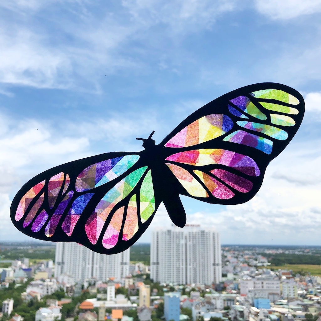 Bộ Thủ Công Bươm Bướm Đón Nắng