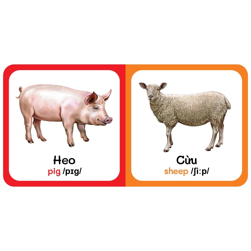 Sách - Baby'S First Picture Dictionary - Từ Điển Bằng Hình Đầu Tiên Của Bé - Động vật Nuôi - Farm AniMals (Bìa Cứng)