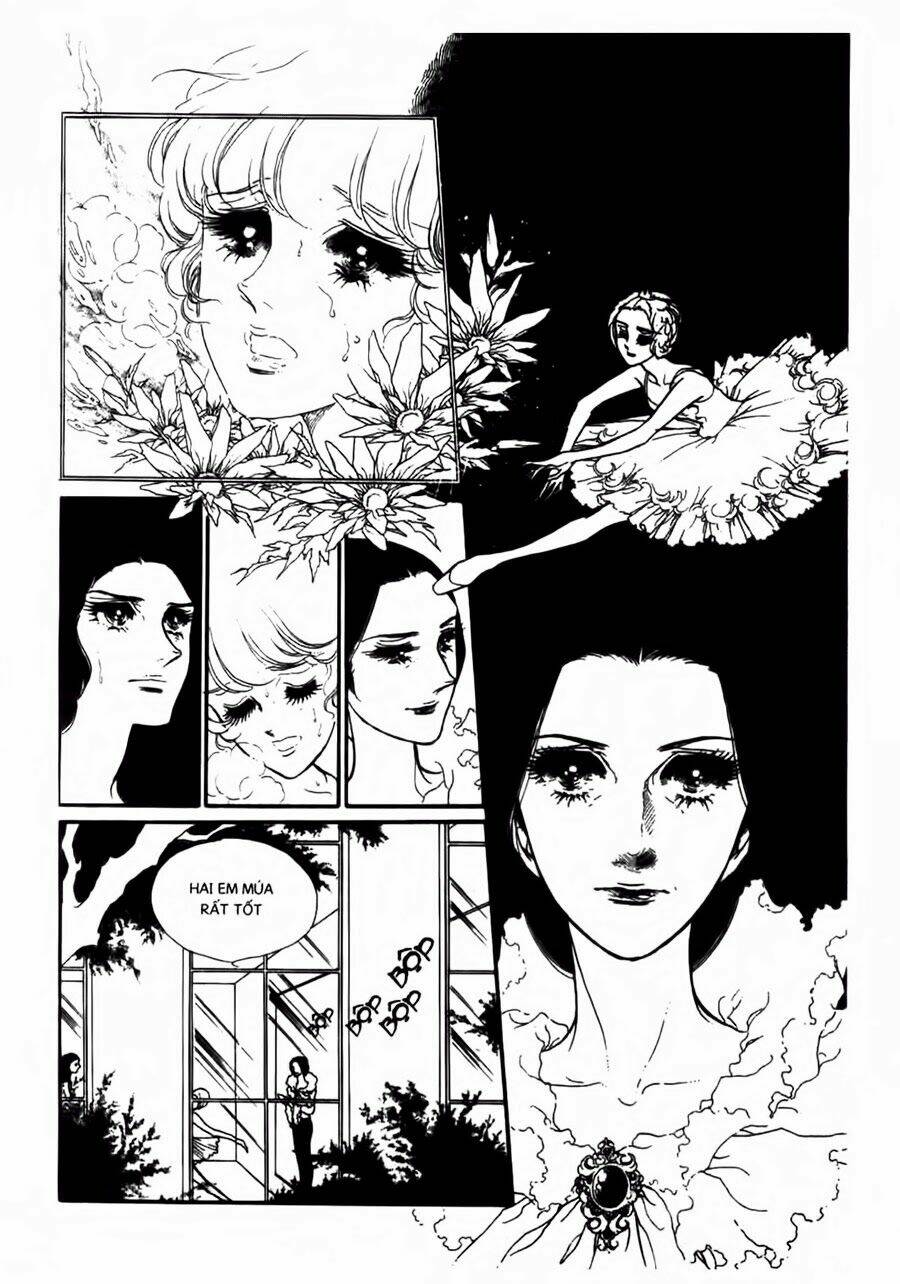 swan - vũ khúc thiên nga chapter 36 10