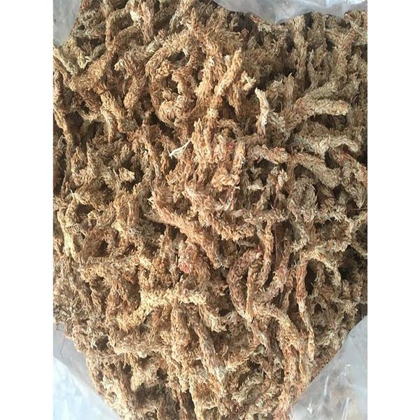 100g Rêu sâu Chile giữ ẩm cho lan