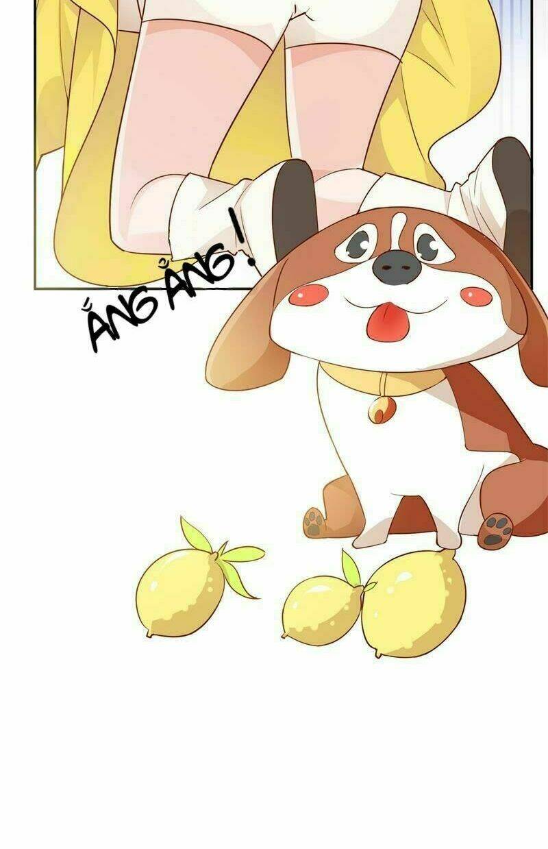 gặp gỡ định mệnh chapter 1 26