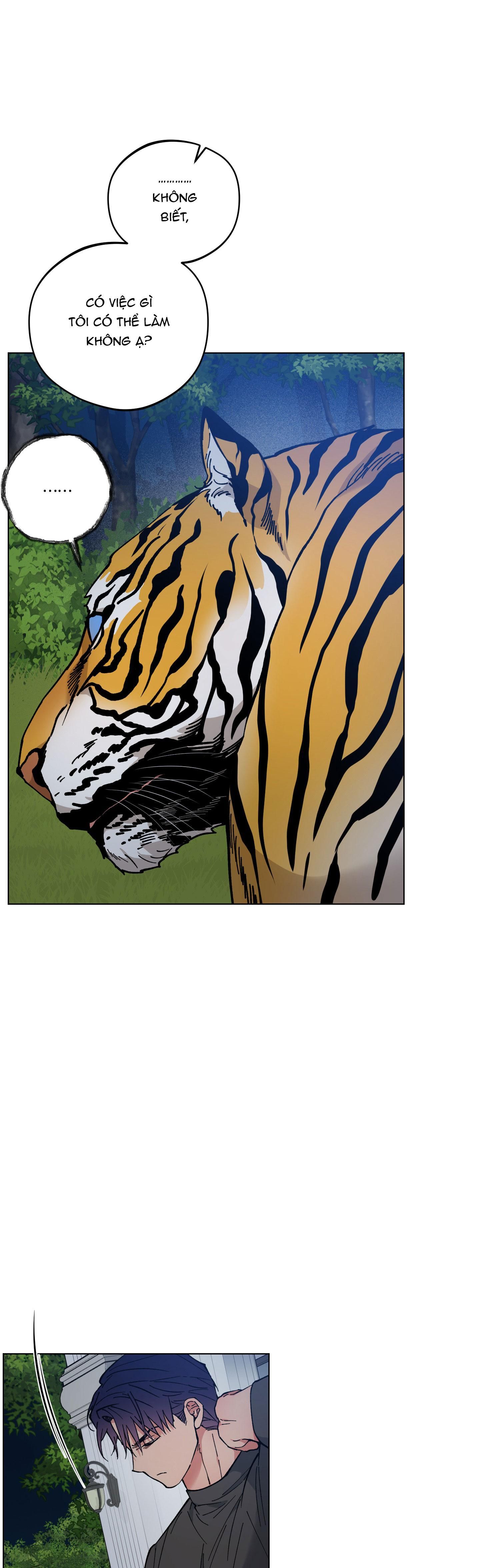 bình minh của rồng chapter 31 26