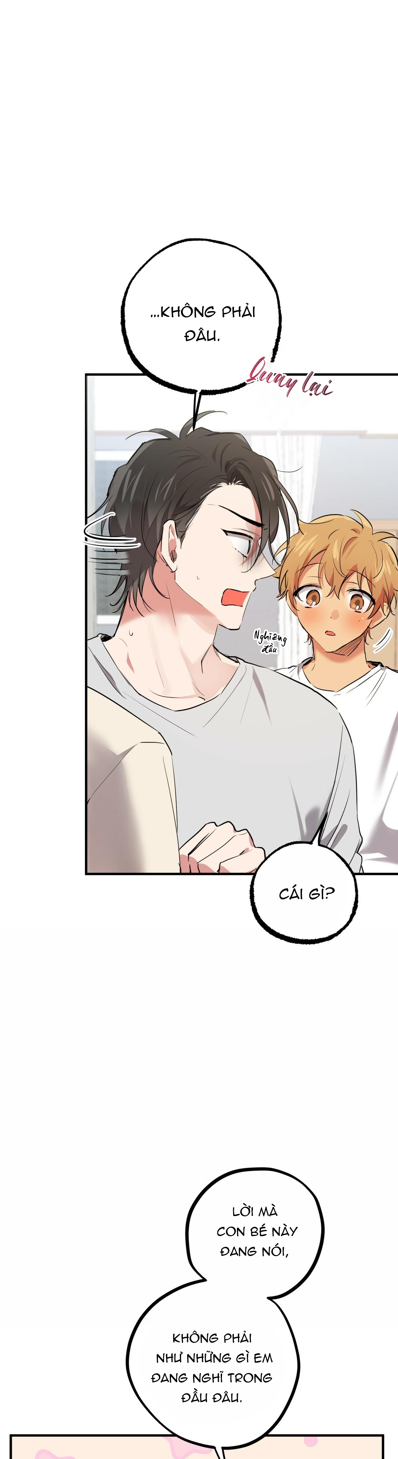 những chú thỏ của hapypy chapter 39 40