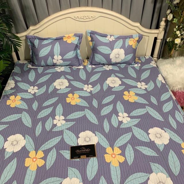 Ga chun trần cotton bambilo