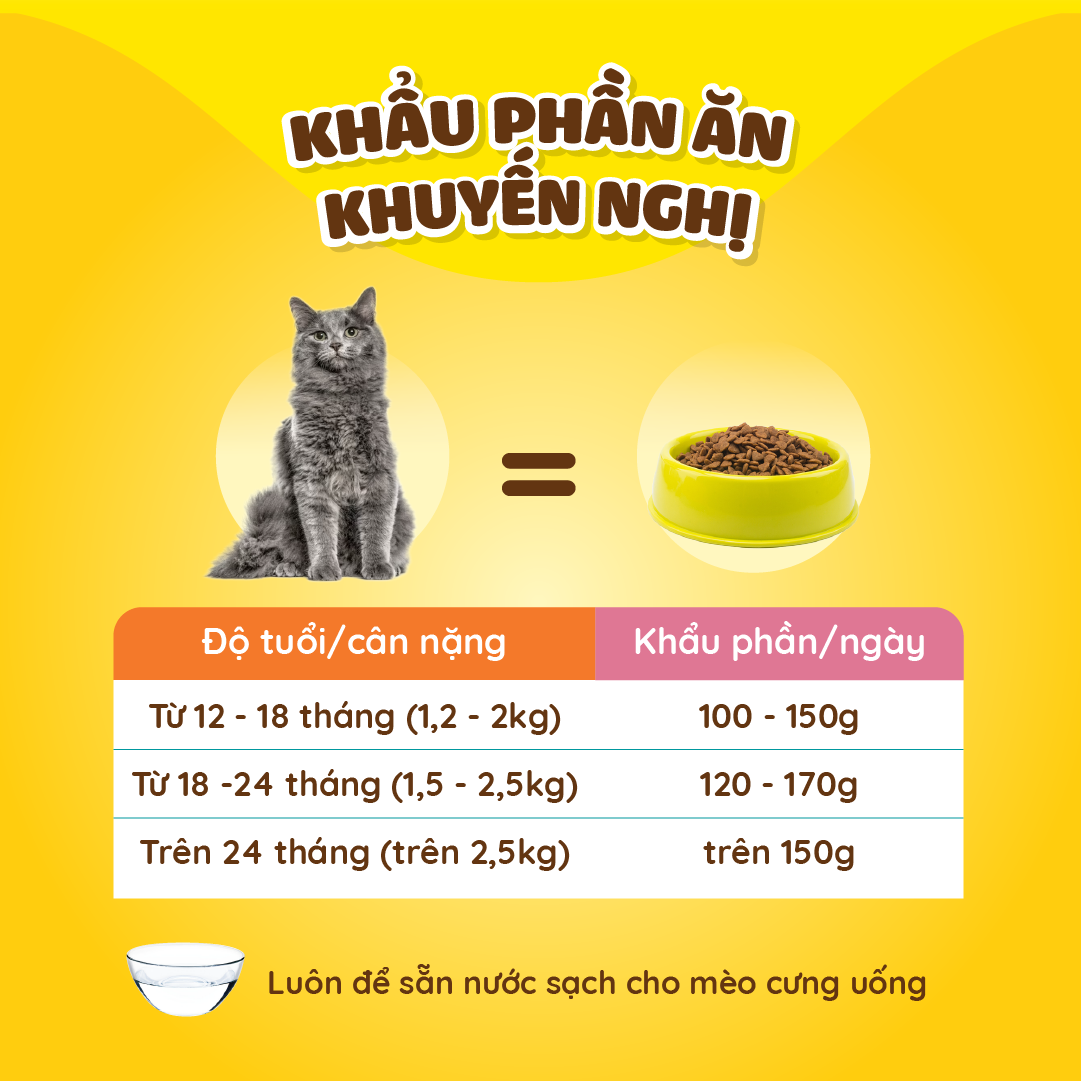 Dr.Kyan - Thức ăn cho mèo lớn Feed Plus - Adutl 1,2 Kg - Vị cá hồi