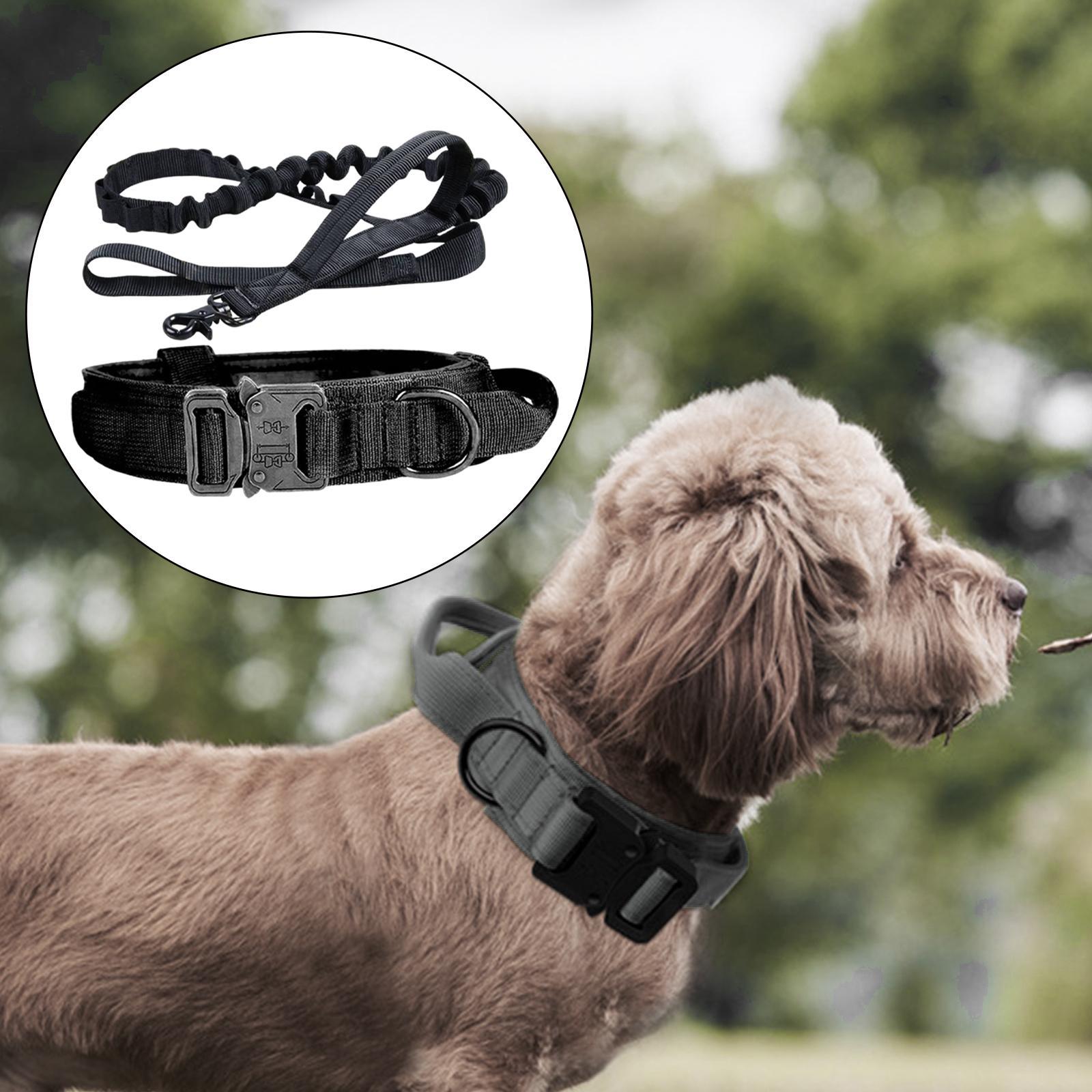 And Leash Set with Handle w/ Metal Buckle Adjustable