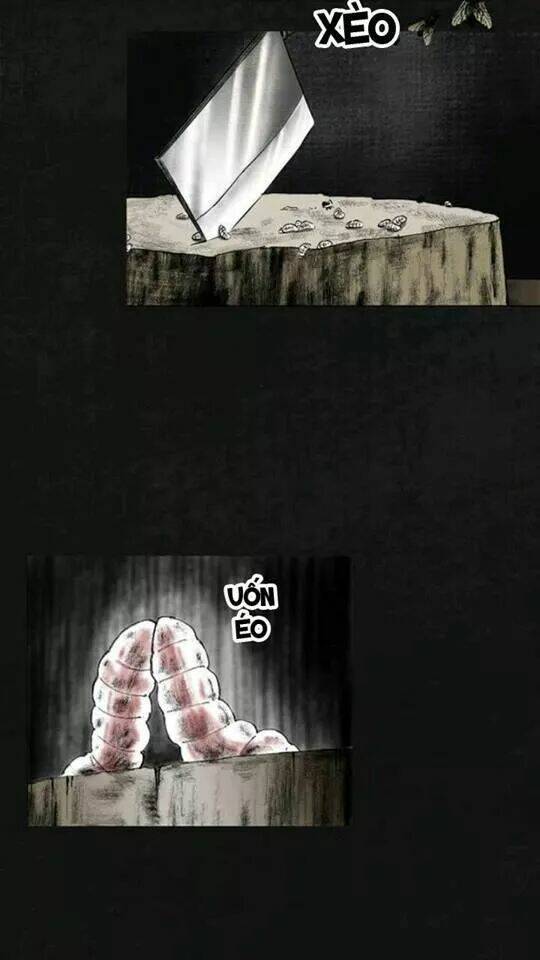 trấn thái bình chapter 16 14