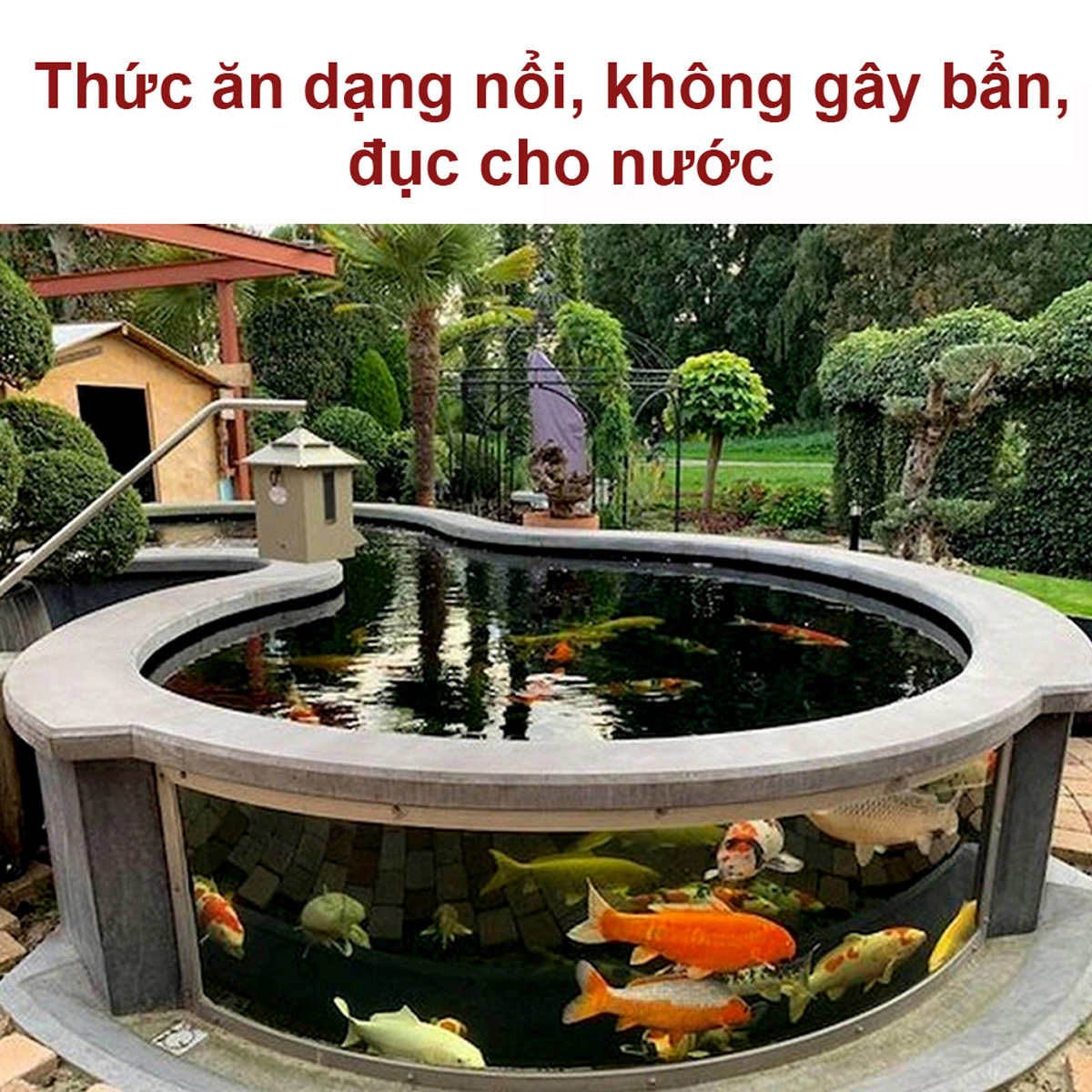 8 Gói Thức Ăn Cá Cảnh, cám Cá Koi hạt nhỡ 3mm (Cho cá size 8cm trở lên) - Nhanh lên size, lên màu, tăng cường sức đề kháng 500Gr