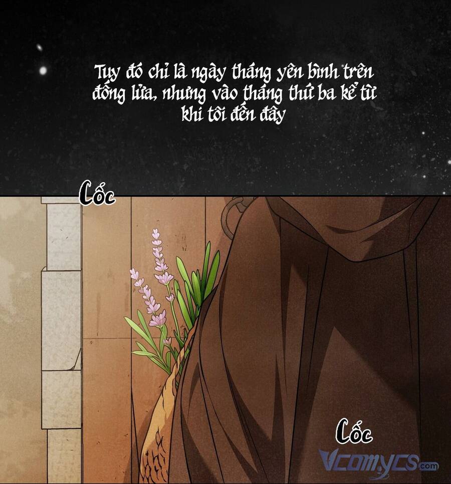 lời nói dối vĩnh cửu của người chapter 25 50