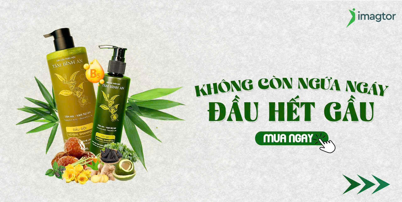 Dầu Gội Tâm Bình An giữ tron tinh túy từ các nguyên liệu thiên, cung cấp dưỡng chất từ dược liệu quý Trà Hoa Vàng - 500ml