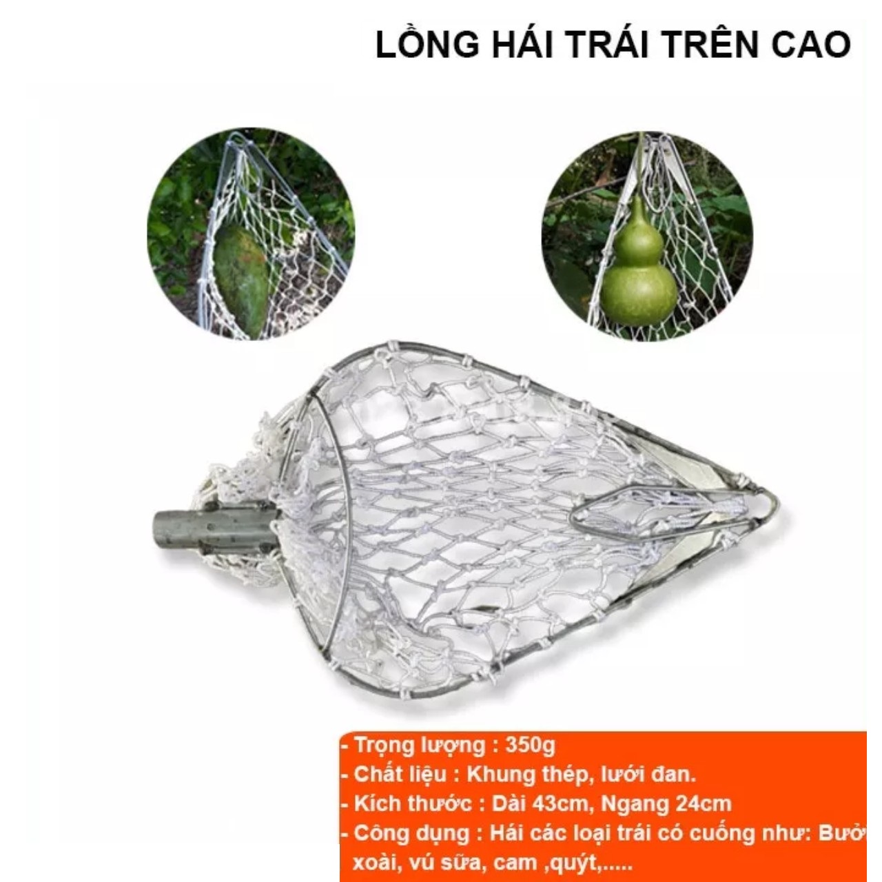 Dụng cụ hái trái cây có lưỡi cắt cuốn trái giúp hái bơ , xoài , bưởi , hồng , mướp dễ dàng không bị dập loại tốt