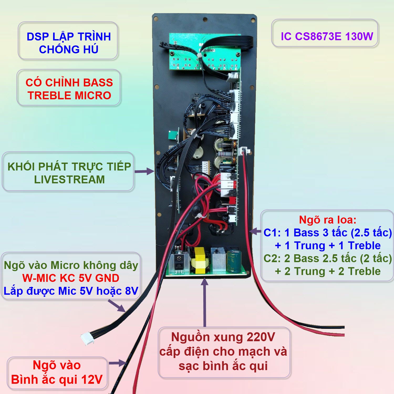 Mạch loa kéo CS8673E 130W LIVESTREAM - DSP lập trình chống hú, chỉnh Bass Treble Micro, nguồn xung 220V, loa kéo 3 tấc ĐƠN hoặc 2.5 tấc ĐÔI