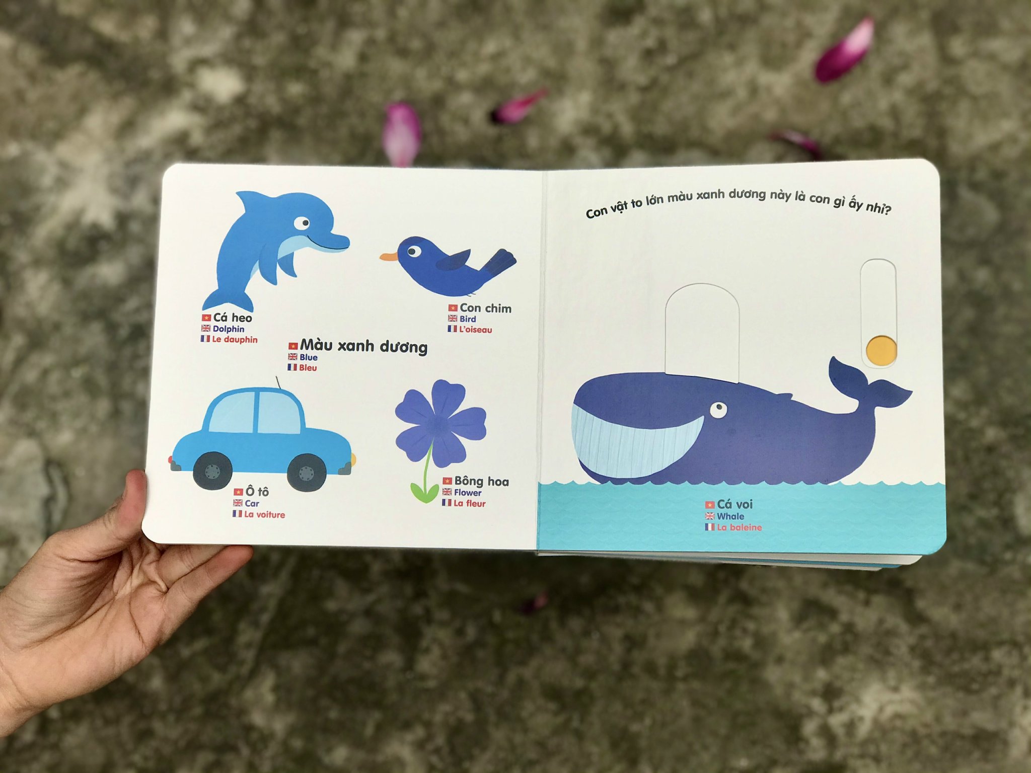Sách tương tác chuyển động thông minh đa ngữ Việt - Anh - Pháp - Đinh Tị - Mộc Nhiên
