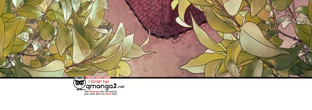 đàn thỏ của habibi chapter 22 8