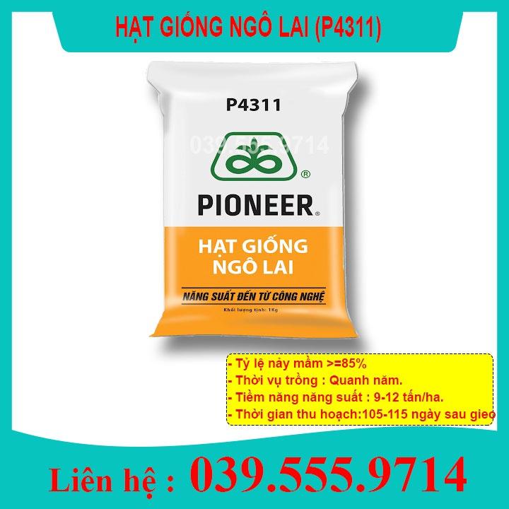 Hạt Giống Ngô lai đơn Năng Suất Cao P4311 - 800g túi ZIP - Ngô Sinh Khối chuyên làm thức ăn chăn nuôi - Hạt giống ngô chăn nuôi