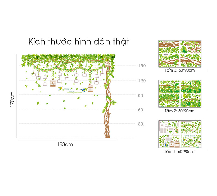 Decal dây leo khung ảnh lồng chim