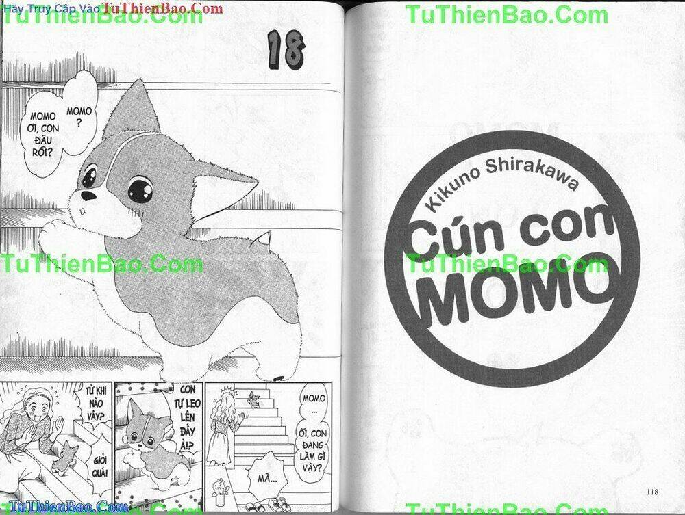 chó con mo mo chapter 2 60