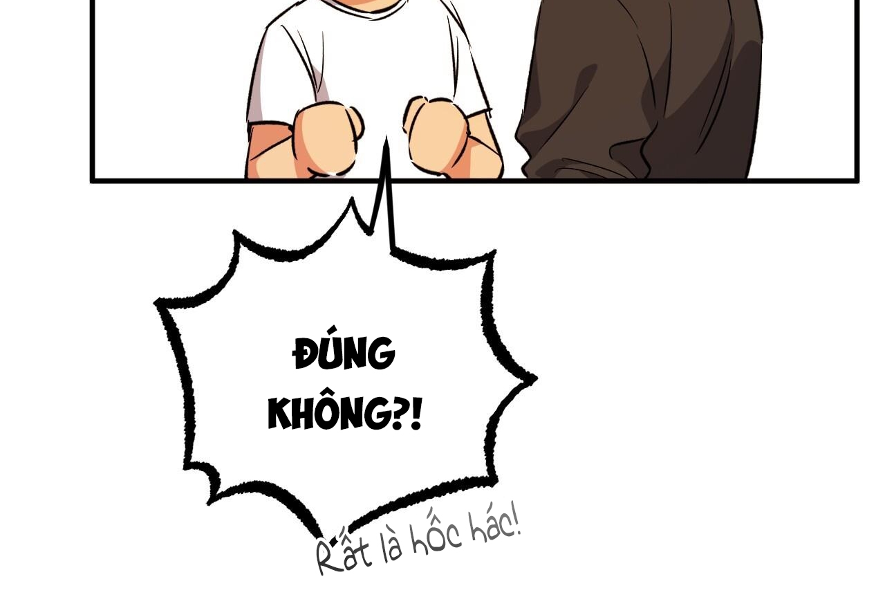 những chú thỏ của hapypy chapter 57 126