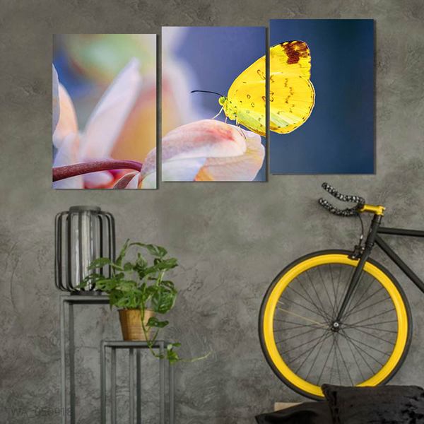 Bộ 3 Tranh Trang Trí Bướm Và Hoa W452