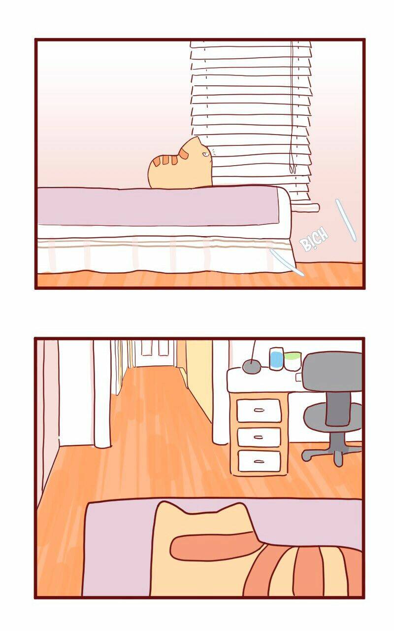 saphie: chú mèo một mắt chapter 10 14