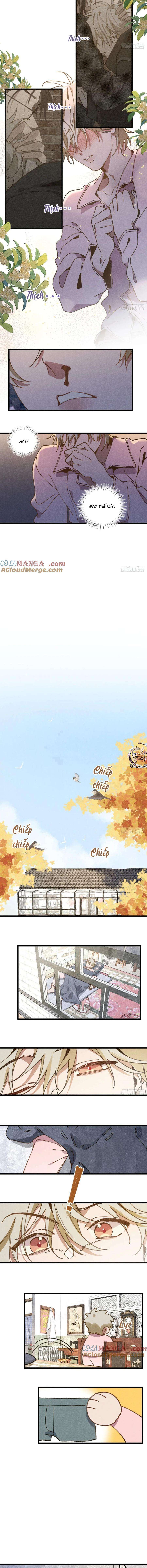 ra ruộng ngô với anh á, còn lâu! chapter 34 5