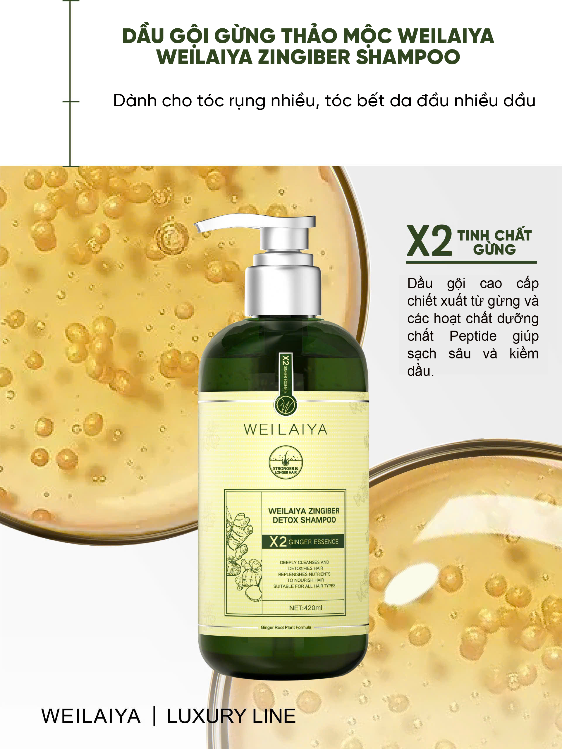 Cặp dầu gội và xả tóc gừng detox Weilaiya Luxury Line