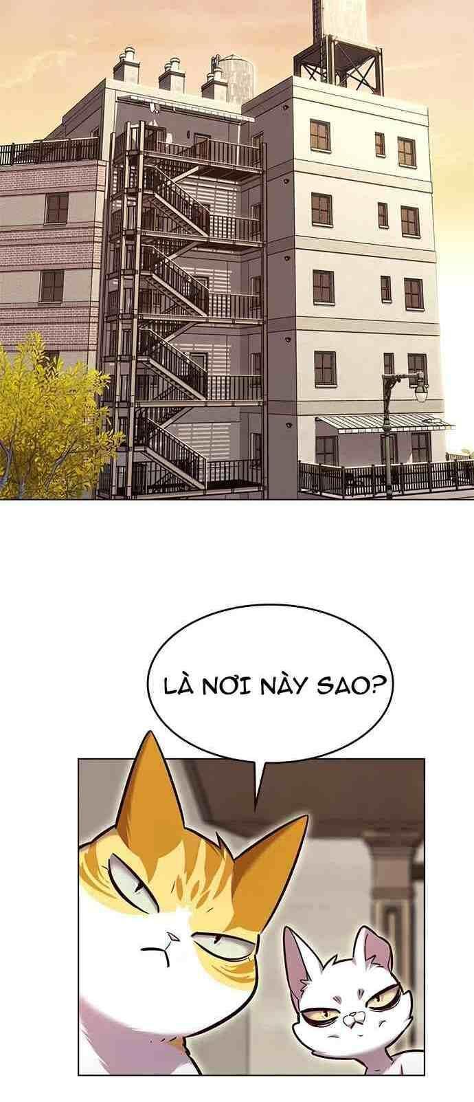 biến thân thành mèo chapter 231 23