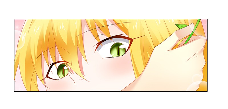 phúc hắc tổng tài đừng tới đây chapter 58 11