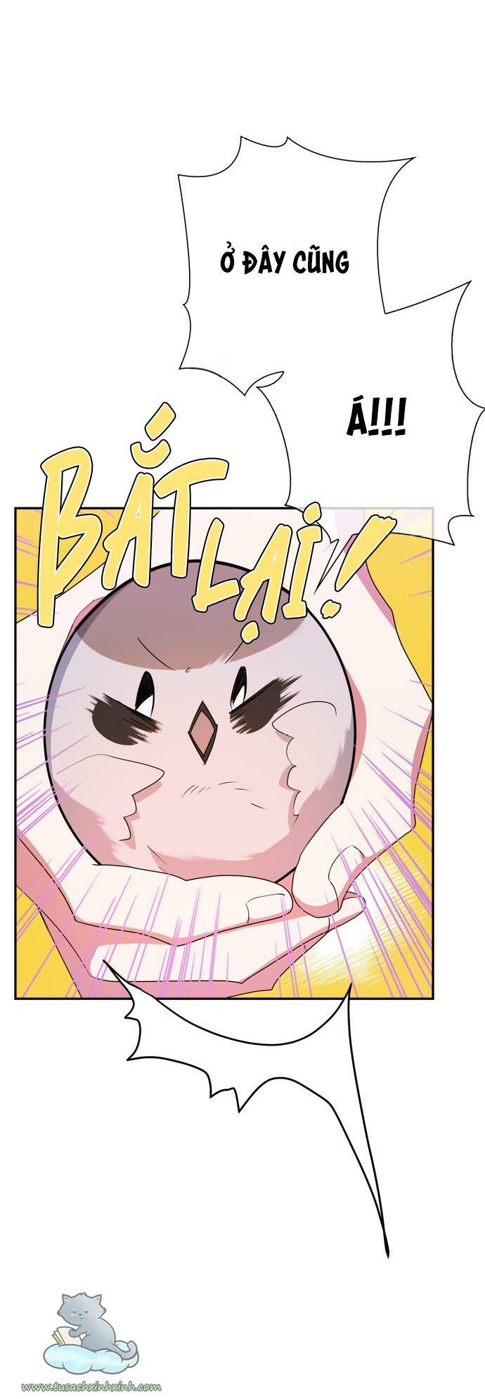 tôi đang nuôi dưỡng một con quái thú chapter 62 23