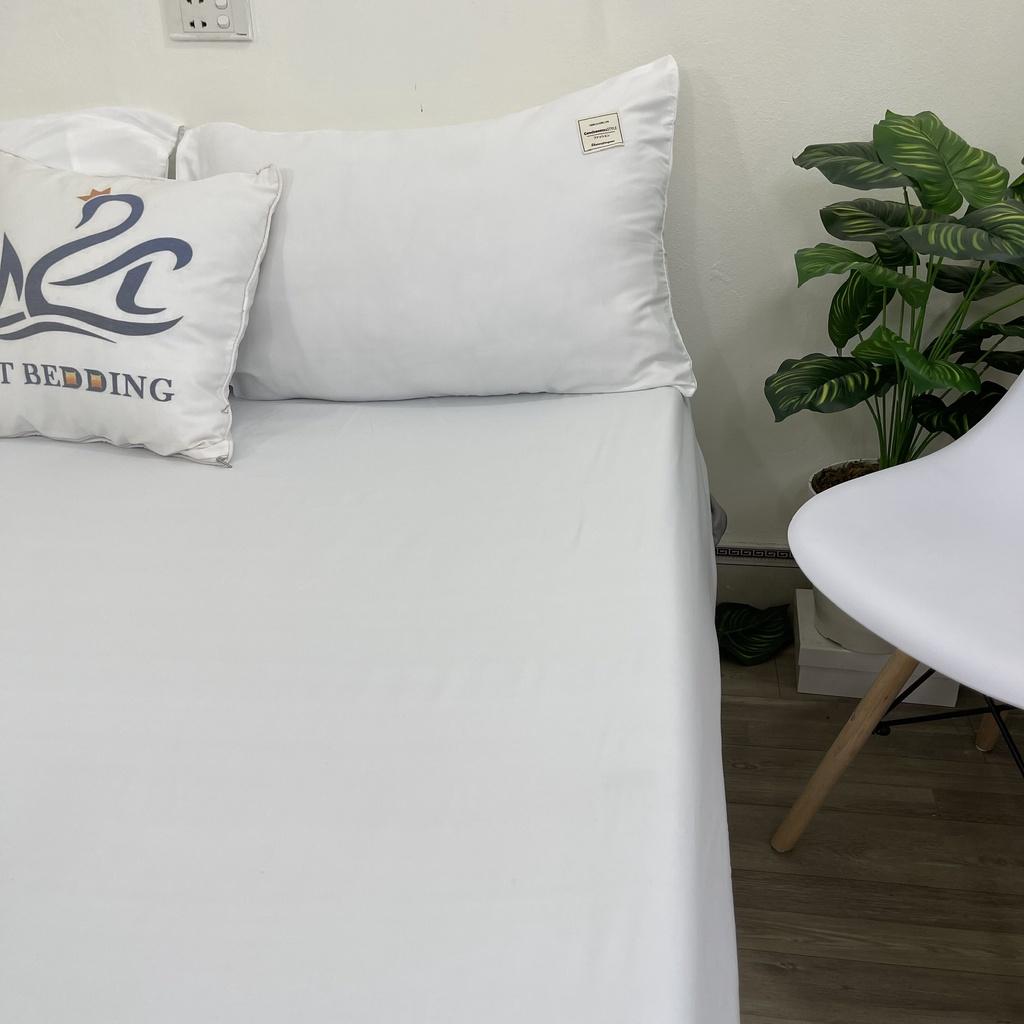 Sét ga gối Cotton Tici M2T bedding màu trắng drap ga giường chuyên dùng cho khách sạn, homestay, nhà nghỉ