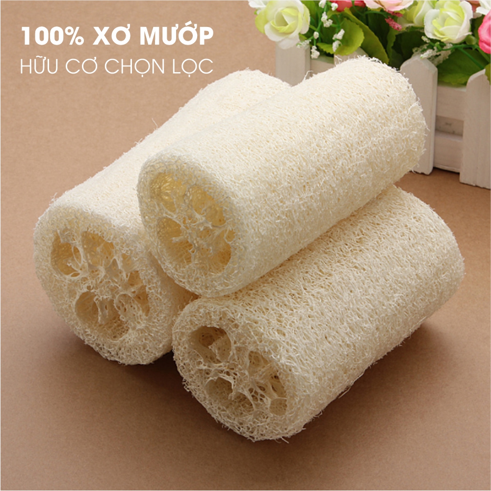 Combo 1 Dây Tắm và 1 Bông Tắm Xơ Mướp Cao Cấp ECODEALS 100% xơ hữu cơ diệt khuẩn - Tẩy da chết, ngừa mụn lưng, massage siêu đã