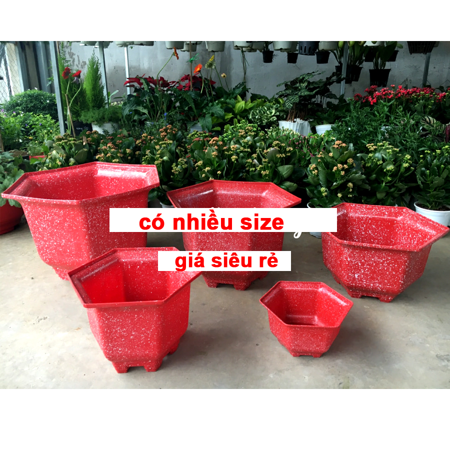 5 Chậu Nhựa lục giác hoa văn giả đá siêu đẹp,siêu sang đem đến may mắn, Miệng,cao,đáy 39x27.5x24cm-77814