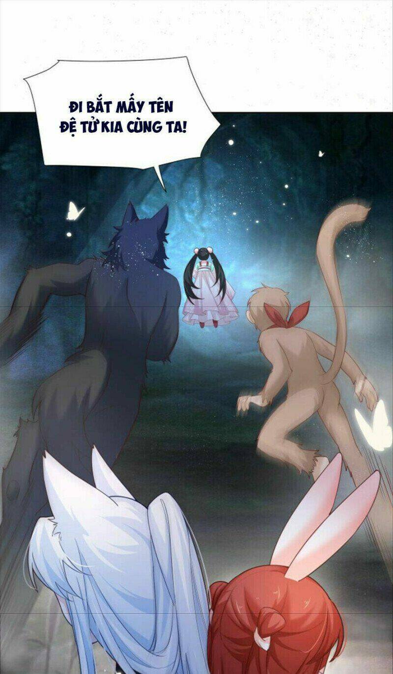 hắc hóa nam chính trực tuyến nuôi thỏ chapter 51 29