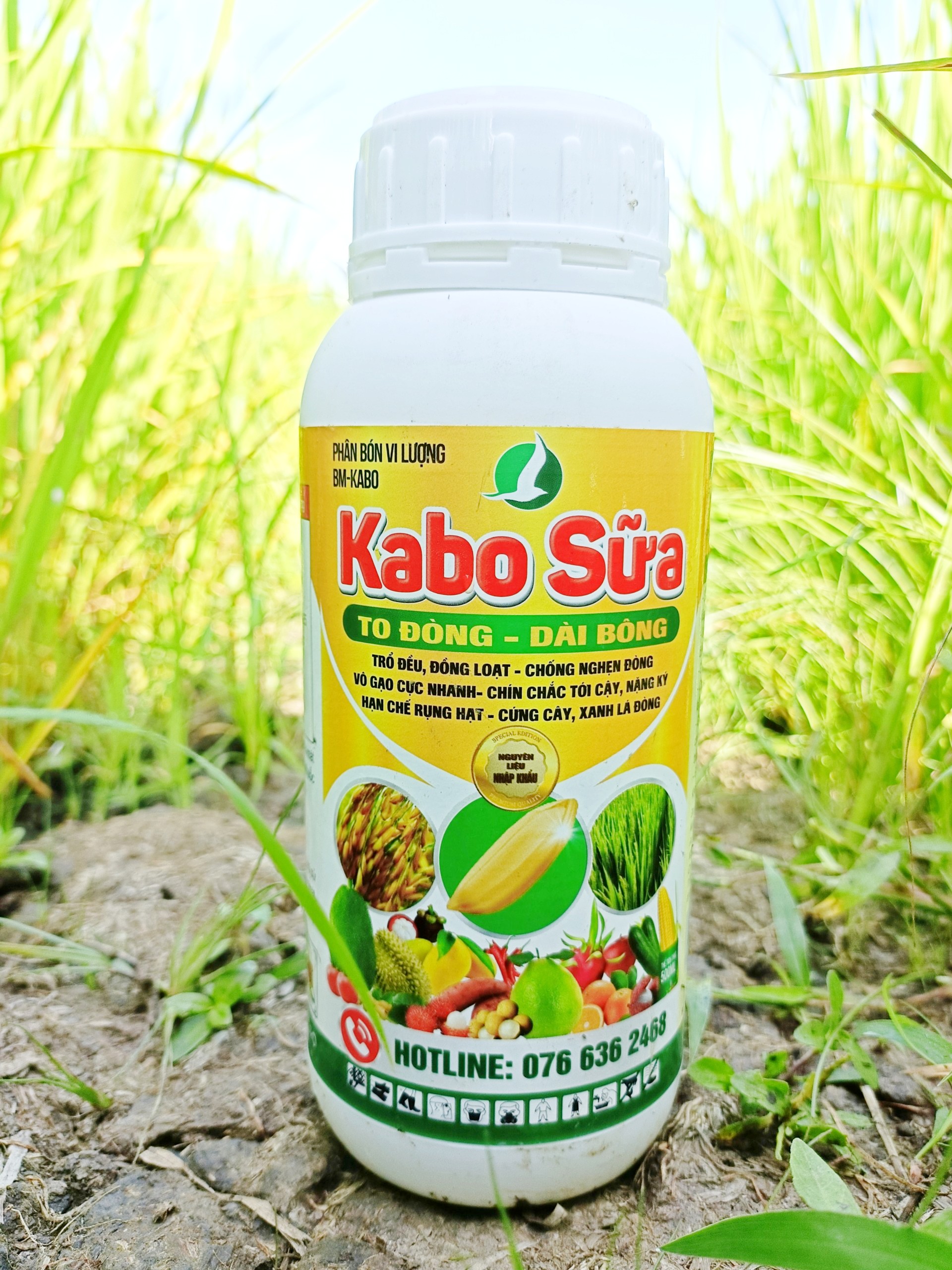 COMBO 03 CHAI PHÂN BÓN ĐÓN ĐÒNG ĐẾN THU HOẠCH TRÊN LÚA - VÀO GẠO NHANH, HẠT CHÍN CHẮC, NẶNG KÍ - SỬ DỤNG 5.000M2