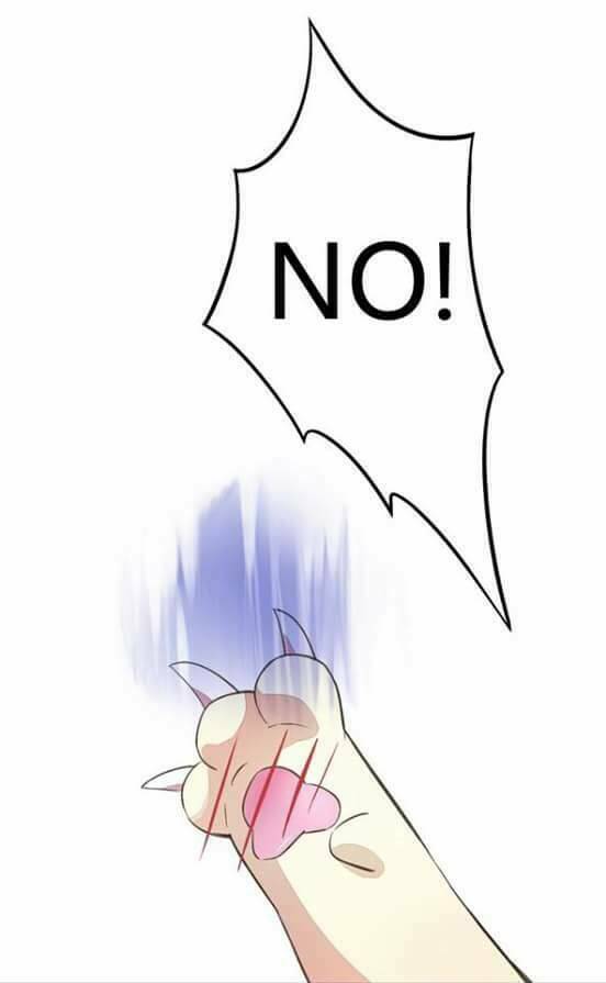 dưới móng vuốt mèo chapter 5 33