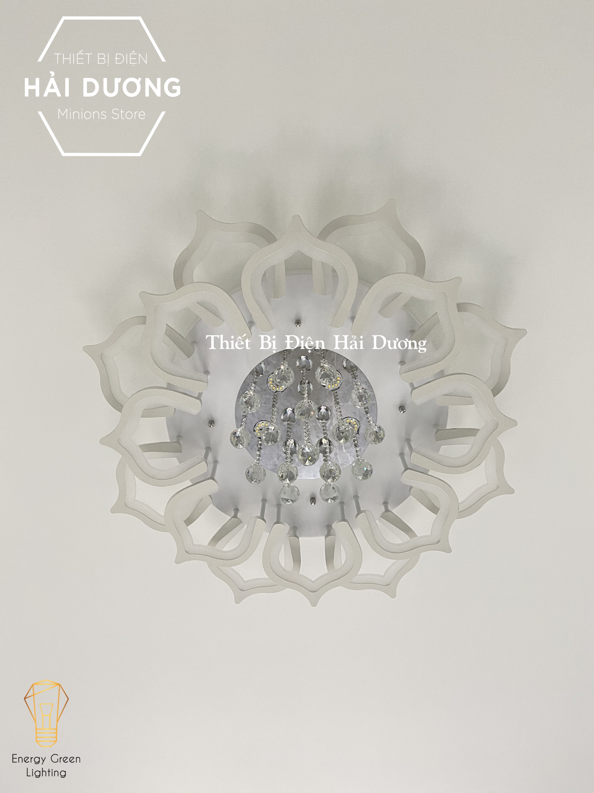 Đèn LED ốp trần hình hoa sen pha lê lấp lánh 16 cánh NT-033 - 3 Chế độ ánh sáng - Có điều khiển từ xa - Có Video