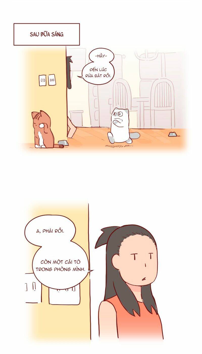 saphie: chú mèo một mắt chapter 23 2