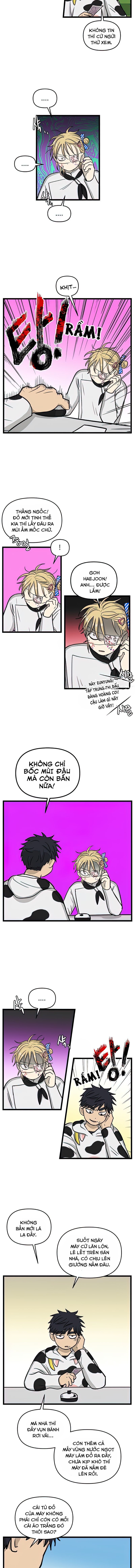 no home - không nhà chapter 165 6