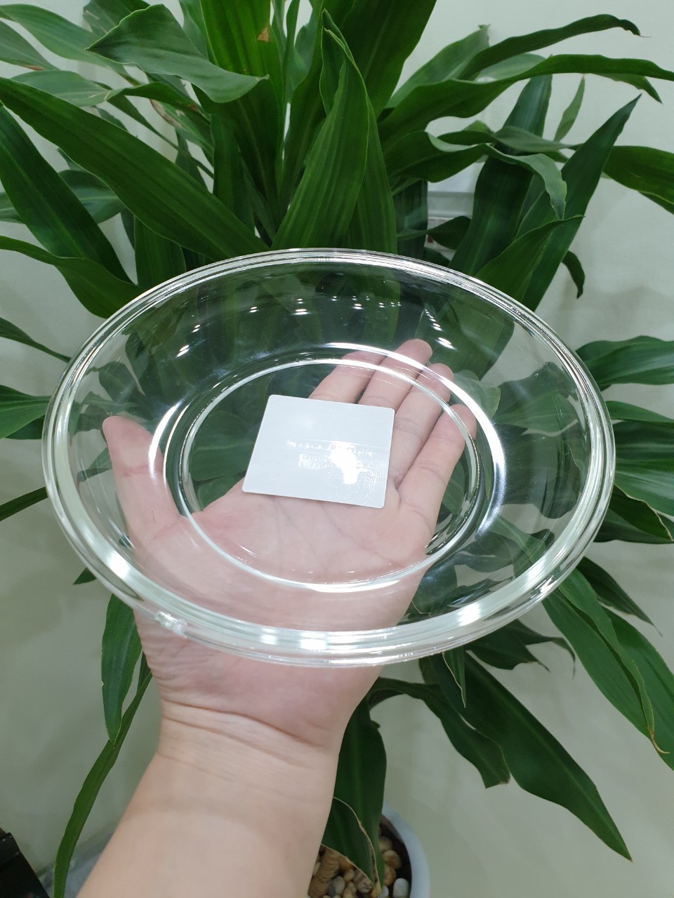 Hộp Thủy Tinh Chịu Nhiệt Cao Cấp Nắp Vòm LLG883 18cm