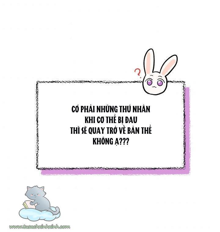 quan hệ cộng sinh giữa báo đen và thỏ trắng chapter 56 24