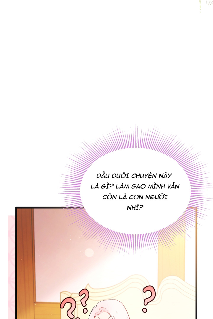 mối liên kết giữa báo đen và bé thỏ chapter 41.1 25