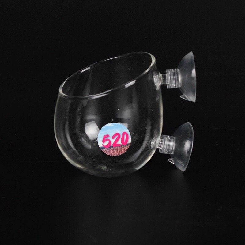 Cốc trồng cây thuỷ sinh