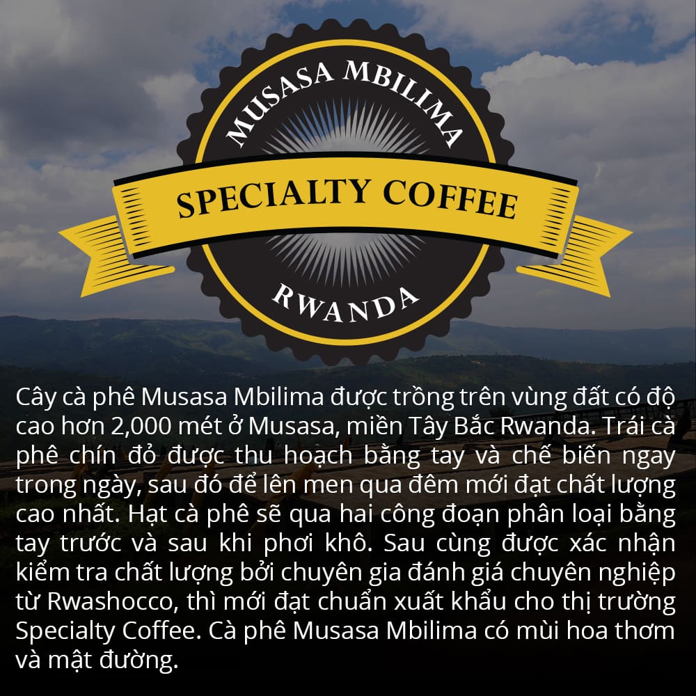 Specialty Coffee Nguyên Hạt Rwanda Musasa 1864 CAFÉ 120g