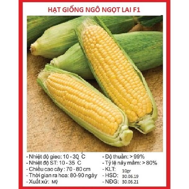 Hạt giống bắp siêu ngọt vàng gói 50gram