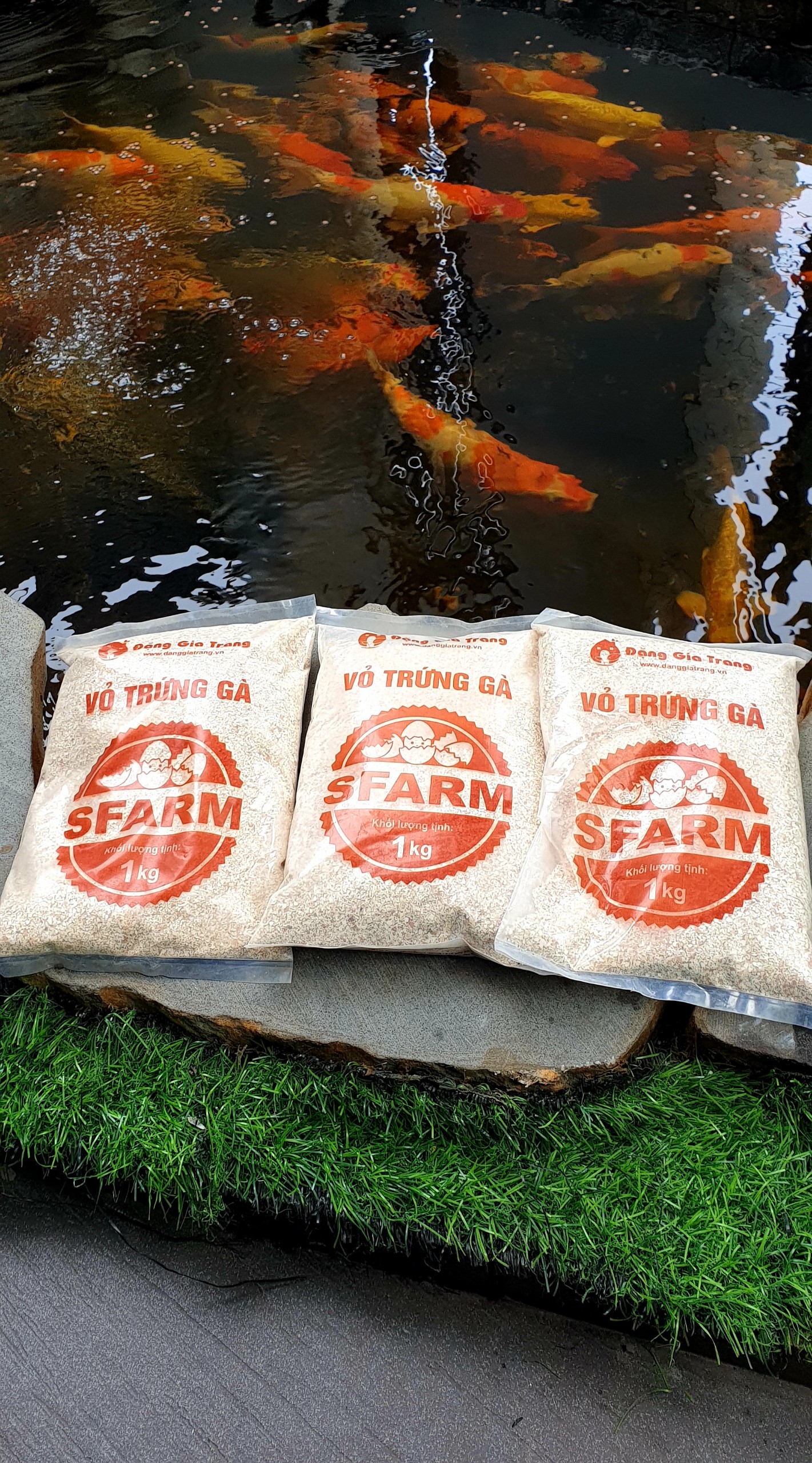 Vỏ Trứng Gà Sfarm Cung Cấp Canxi Và Khoáng Chất Cho Cây Trồng - Gói 1kg