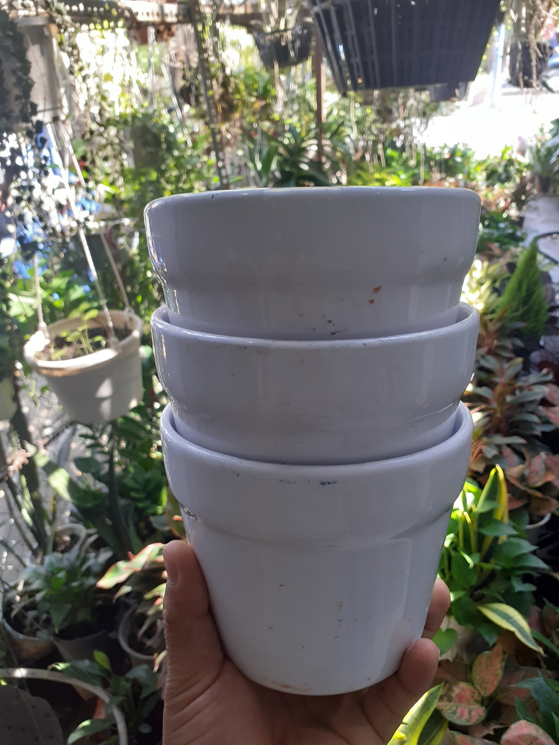 Chậu đất nung TRÁNG MEN MÀU TRẮNG có thành miệng chậu.